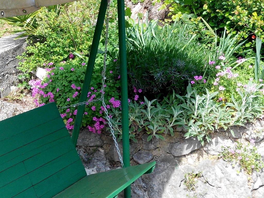 Apartman Andreja