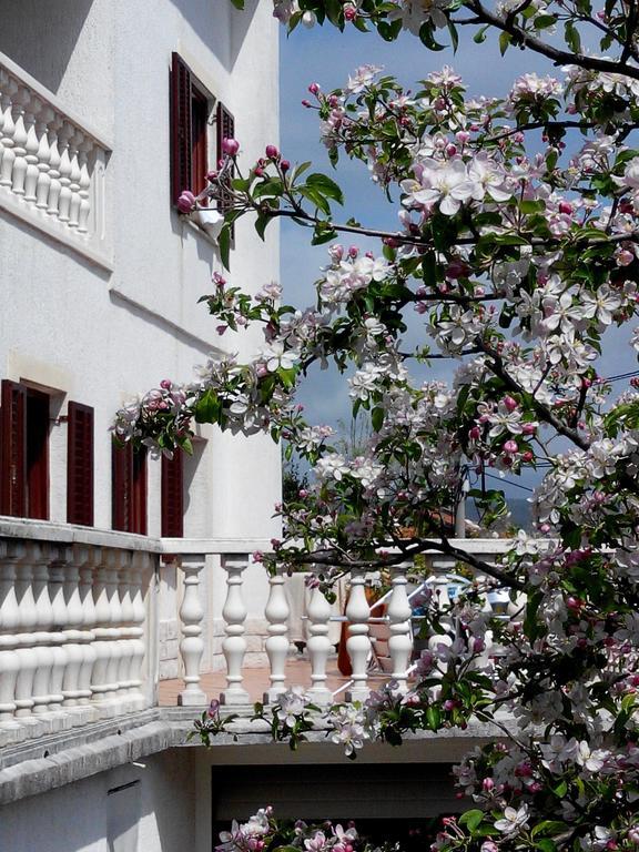 Apartment Andreja Opatija
