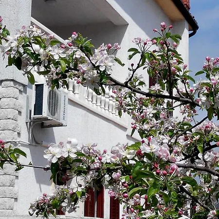 Apartments Villa Andreja Opatija Zewnętrze zdjęcie