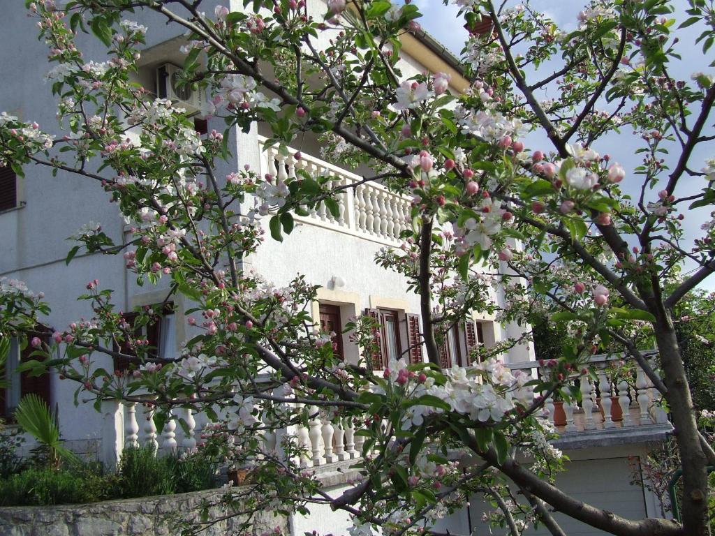 Andreja Apartment Opatija
